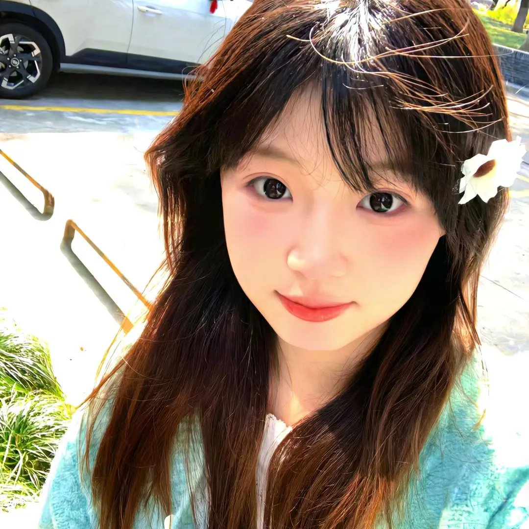 黄叶舞青风